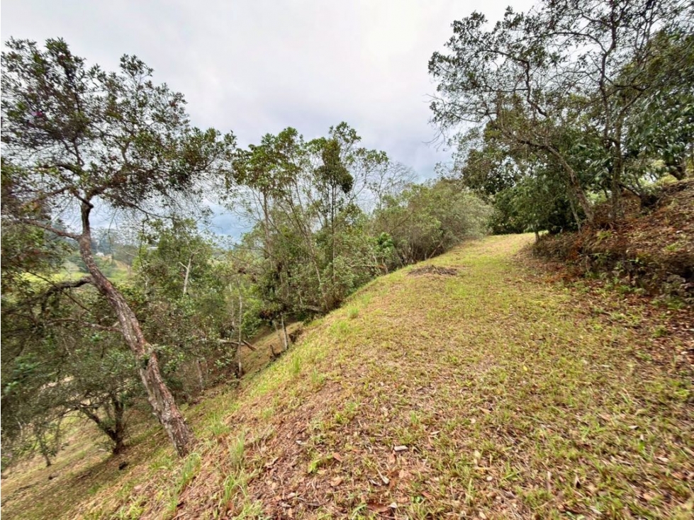 Se vende lote de 3.566 m² con hermosa vista en Entrelagos — foto 2