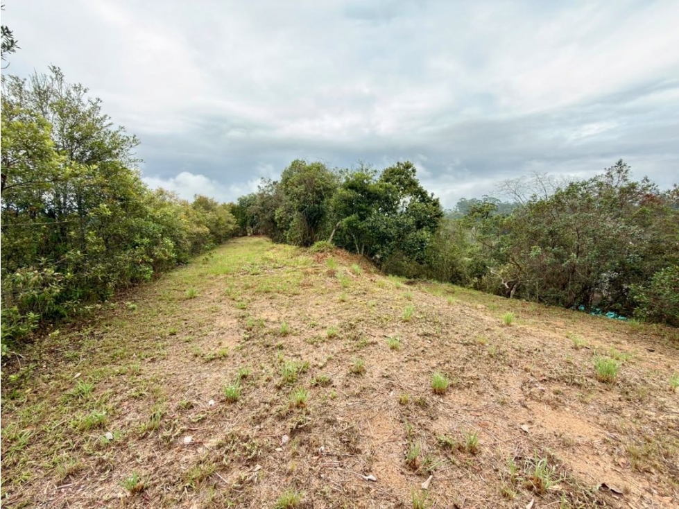 Se vende lote de 3.566 m² con hermosa vista en Entrelagos — foto 3