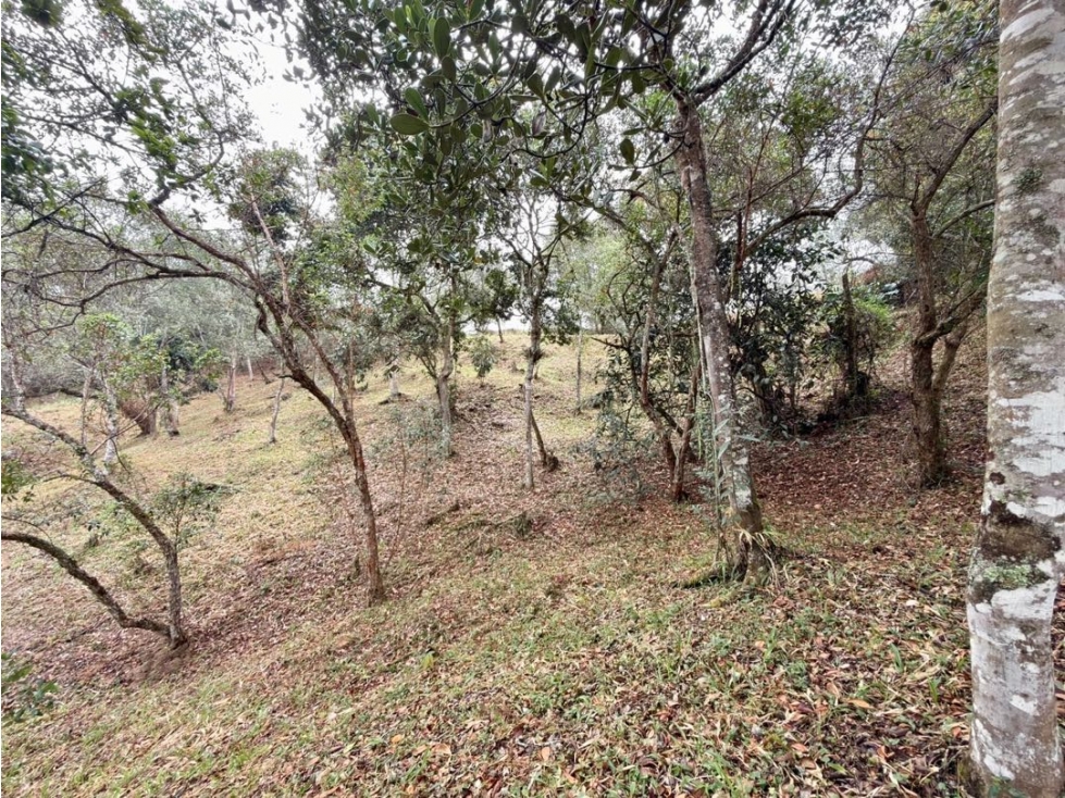Se vende lote de 3.566 m² con hermosa vista en Entrelagos — foto 4