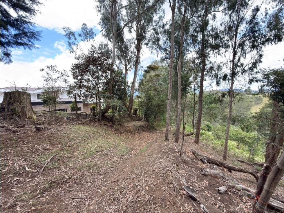 Se vende lote de 38.000 m² con gran potencial de desarrollo en Quirama — foto 2