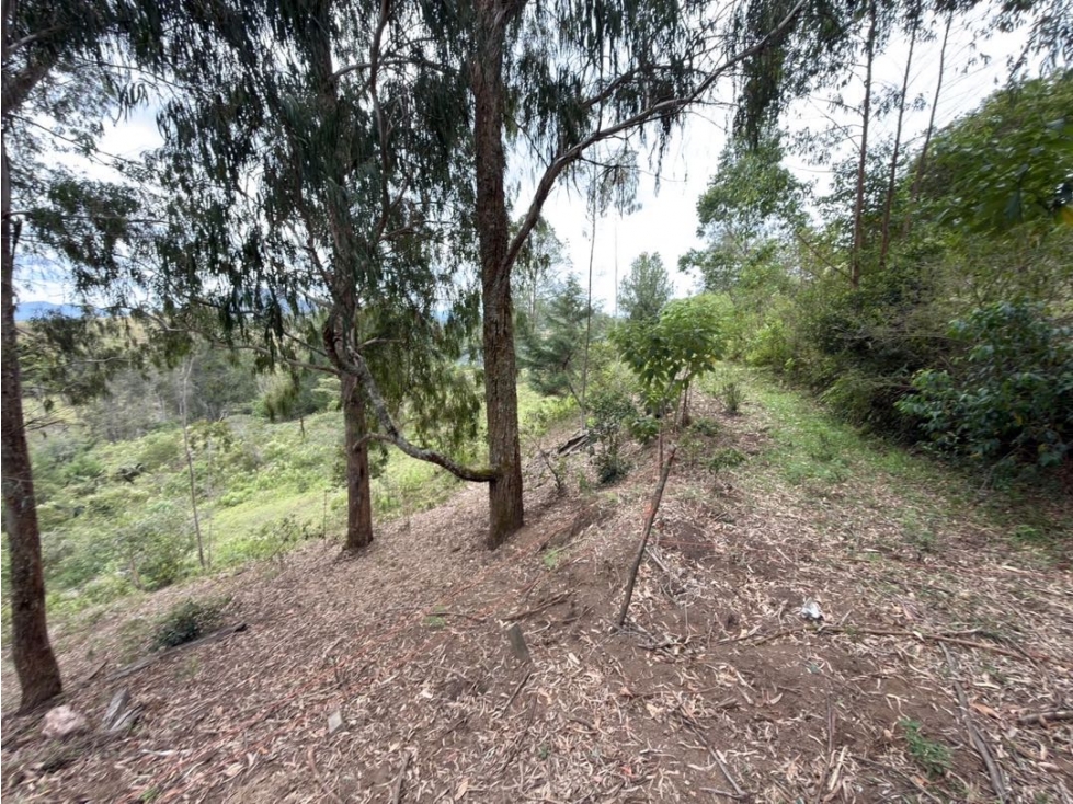 Se vende lote de 38.000 m² con gran potencial de desarrollo en Quirama