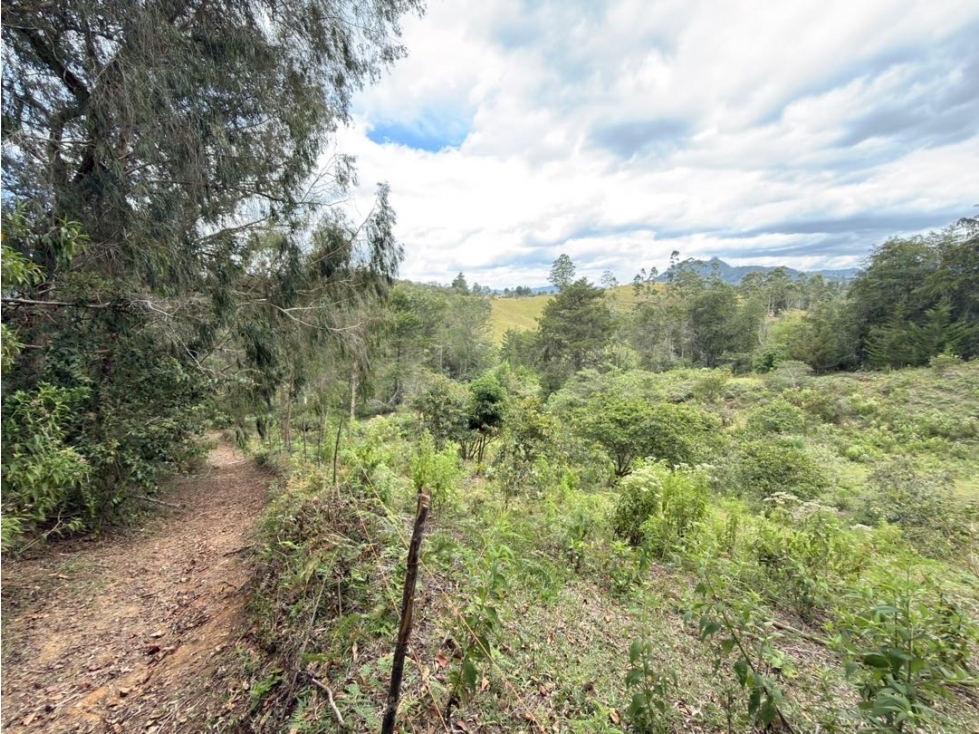 Se vende lote de 38.000 m² con gran potencial de desarrollo en Quirama — foto 3