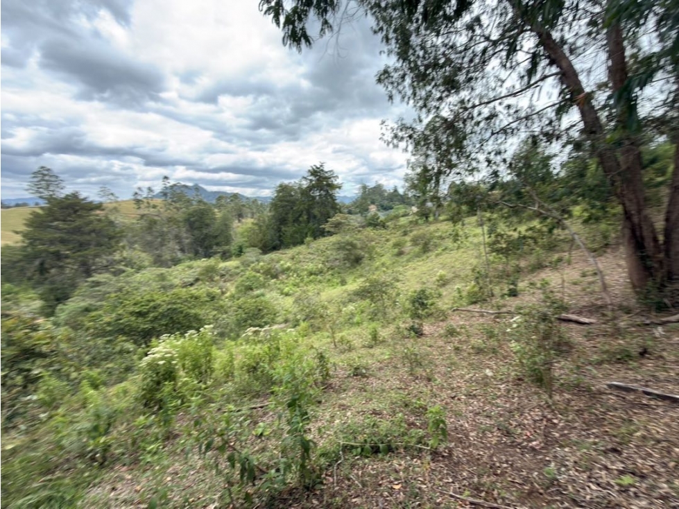 Se vende lote de 38.000 m² con gran potencial de desarrollo en Quirama — foto 4