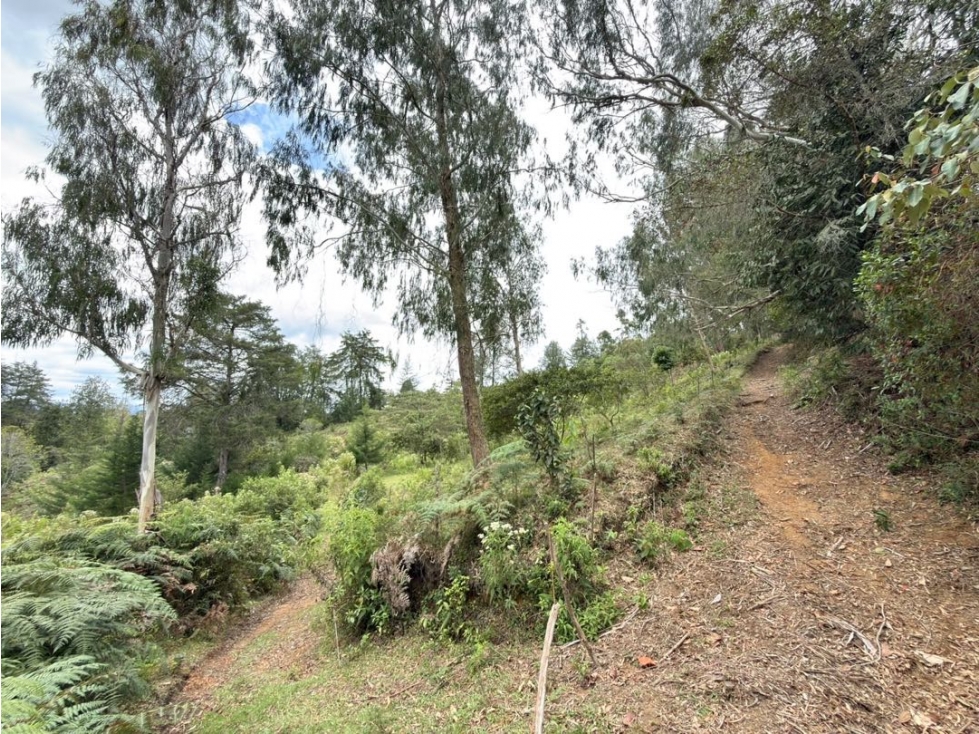 Se vende lote de 38.000 m² con gran potencial de desarrollo en Quirama — foto 5