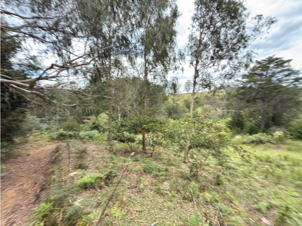 Se vende lote de 38.000 m² con gran potencial de desarrollo en Quirama — foto 6