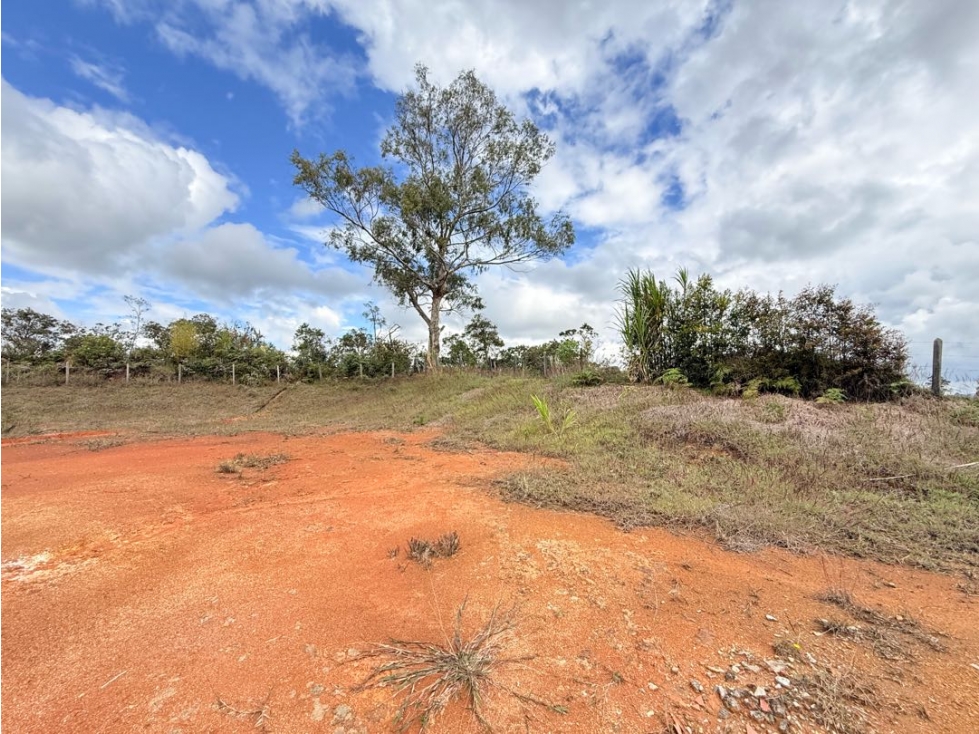Se vende lote de 4.000 m2 en Aguas Claras, El Carmen de Viboral — foto 2