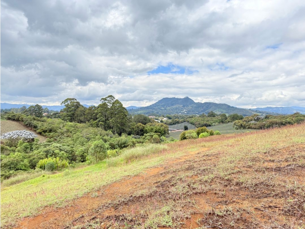 Se vende lote de 4.000 m2 en Aguas Claras, El Carmen de Viboral — foto 6