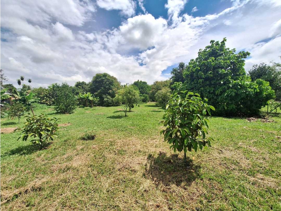 Se vende lote de 4.000 mtr2 en Ginebra. ALG-AS 9641961 - 1