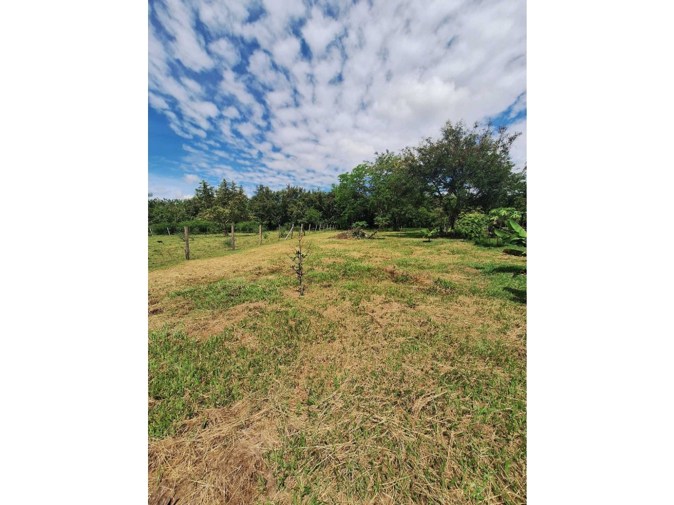Se vende lote de 4.000 mtr2 en Ginebra. ALG-AS 9641961 - 2