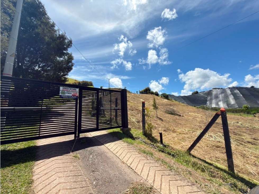 Se vende lote de 5.000 m2 en condominio privado en Betania — foto 2