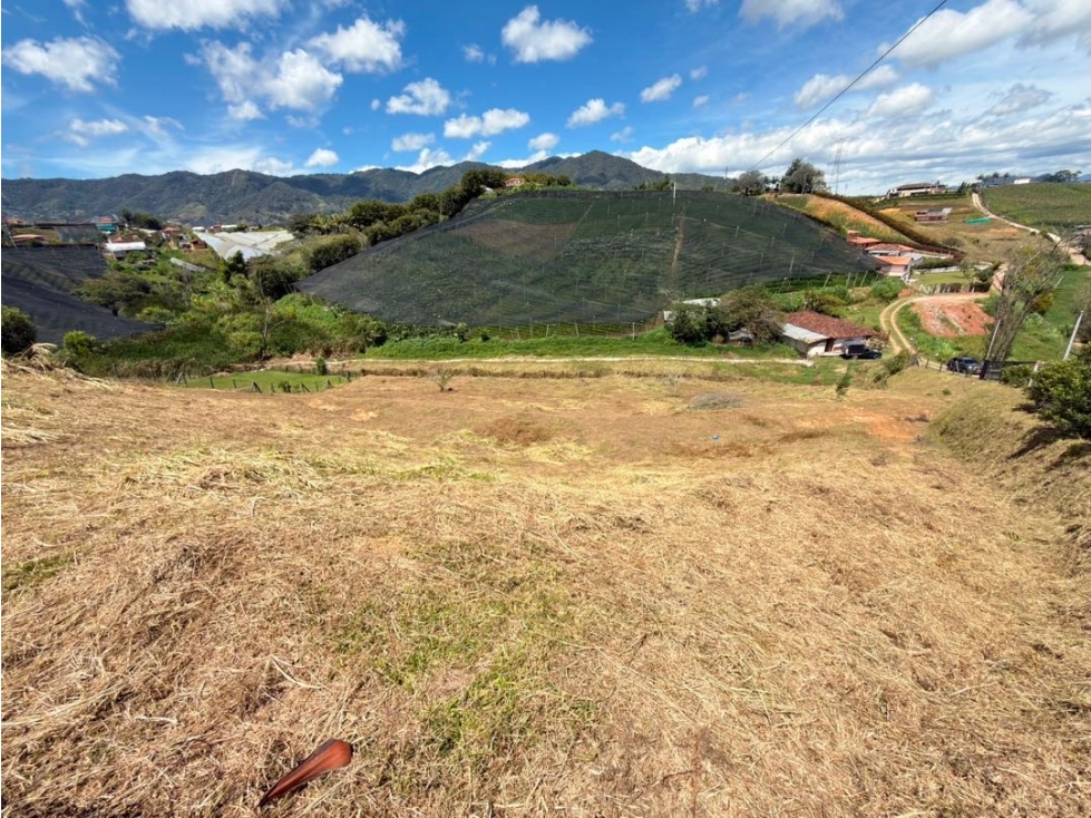 Se vende lote de 5.000 m2 en condominio privado en Betania — foto 5