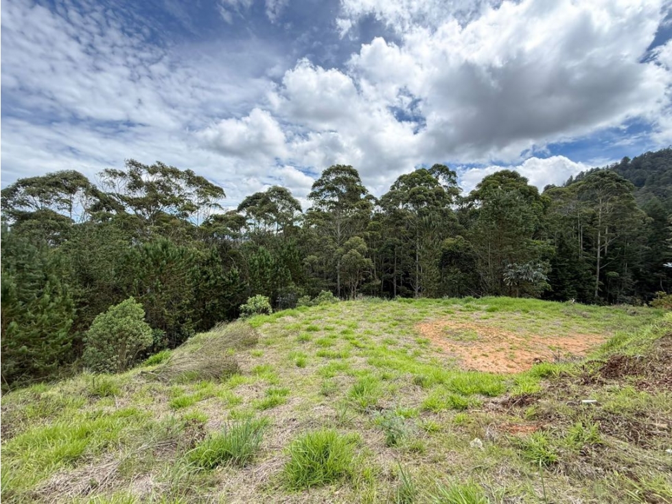 Se vende lote de 5.000 m2 en parcelación exclusiva en Guarne