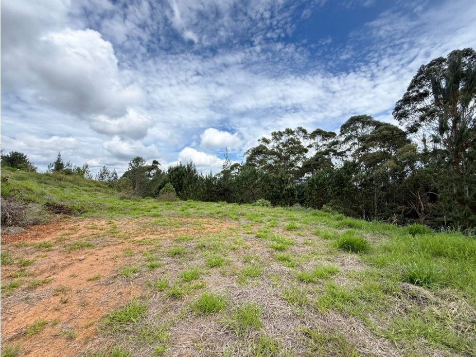 Se vende lote de 5.000 m2 en parcelación exclusiva en Guarne — foto 4