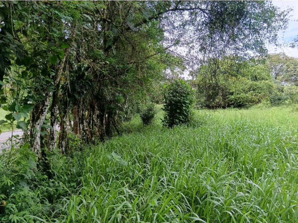 SE VENDE LOTE DE 5 HECTÁREAS CHIRIQUI BONGO ABAJO - 2