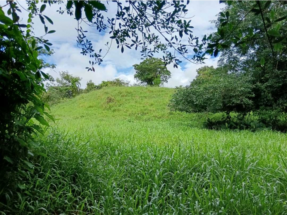 SE VENDE LOTE DE 5 HECTÁREAS CHIRIQUI BONGO ABAJO - 5