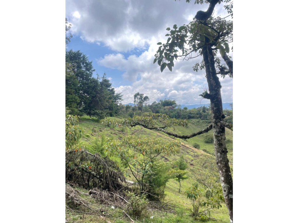Se vende lote de 5 hectáreas en Cascajo Arriba, Marinilla — foto 3