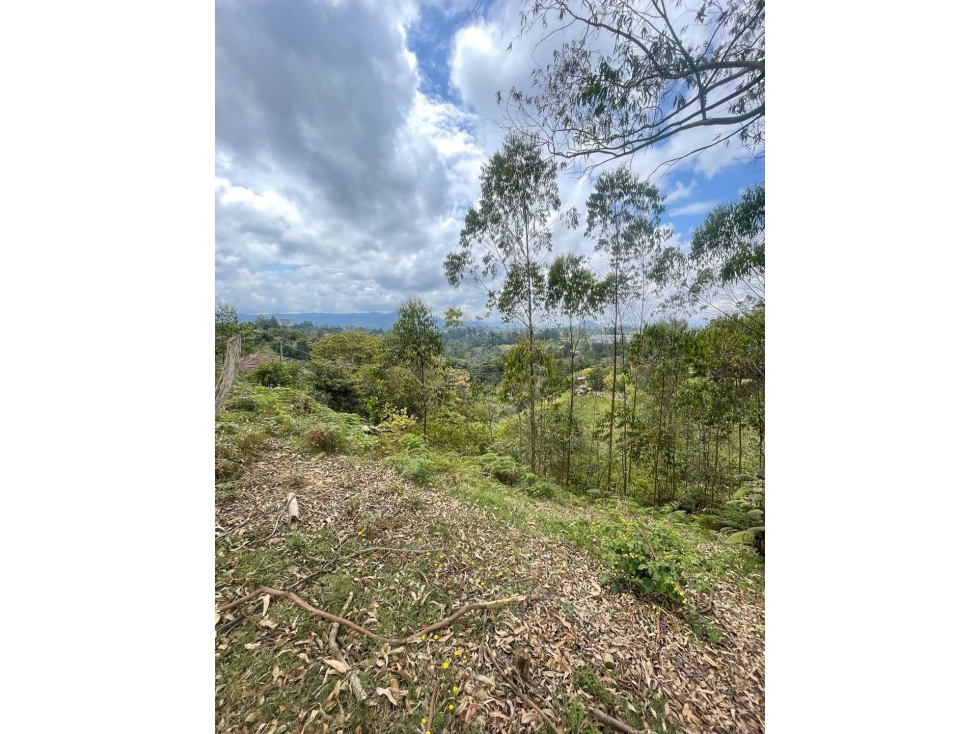 Se vende lote de 5 hectáreas en Cascajo Arriba, Marinilla — foto 4