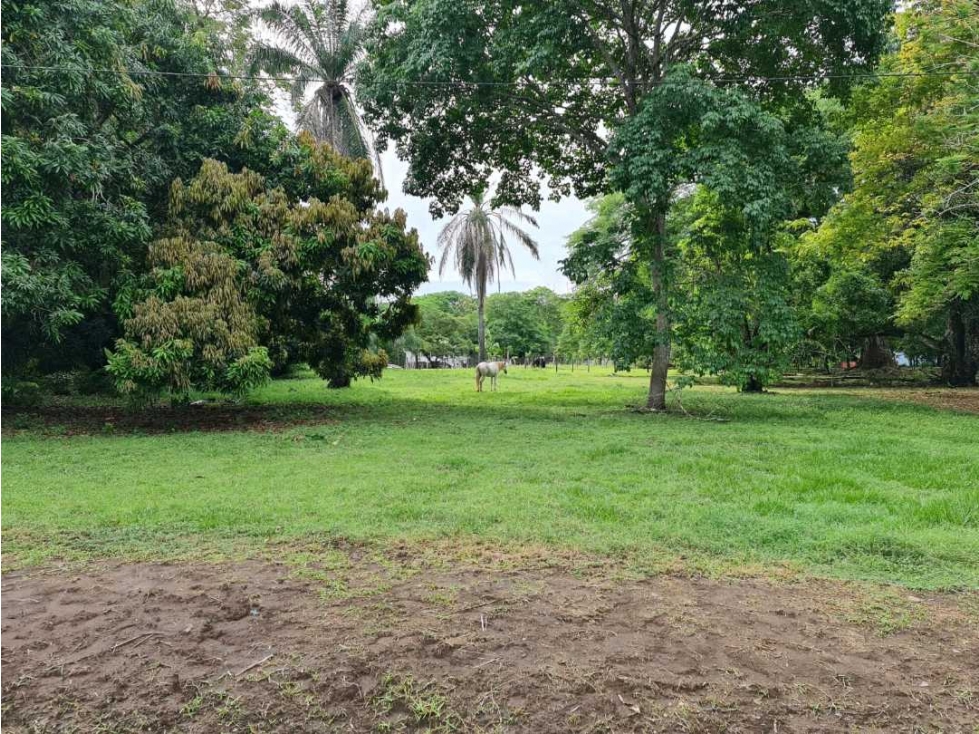 VENTA DE LOTE DE 880 mts2 EN PUERTO ARMUELLES - 1