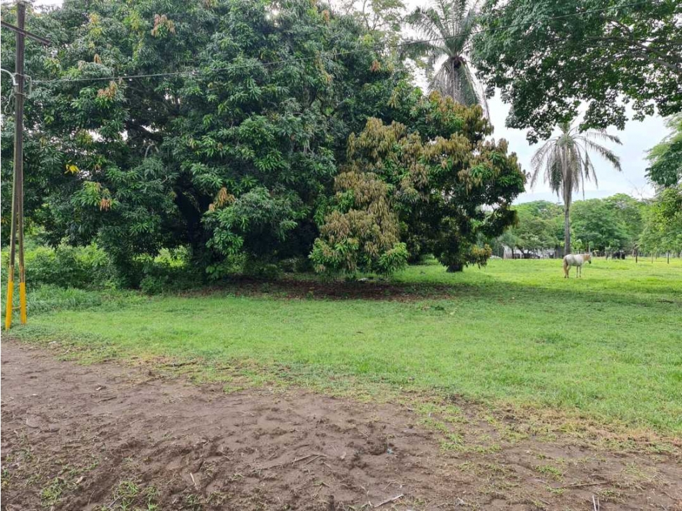 VENTA DE LOTE DE 880 mts2 EN PUERTO ARMUELLES - 2