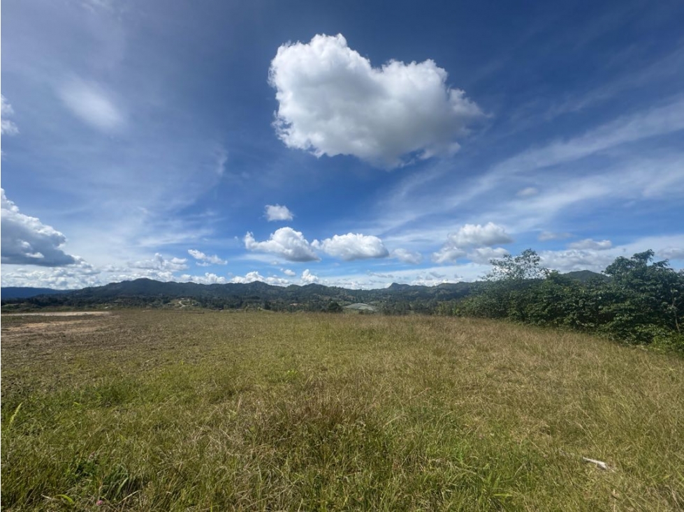 SE VENDE LOTE EL RETIRO PARCELACION MONTESERENO — foto 6