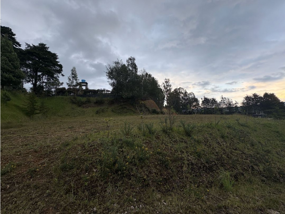 Lote en Venta en Alto de Palmas — foto 3