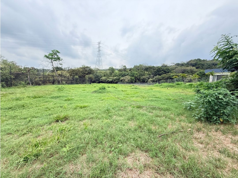 SE VENDE LOTE EN ALTO PANCE RP-MUR WS 10027587 — foto 5