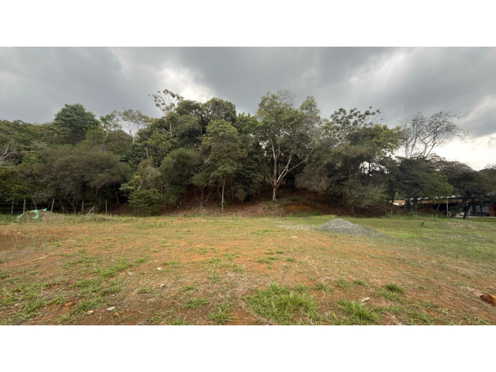 SE VENDE LOTE EN ALTO PANCE RP WS 10518747 - 5
