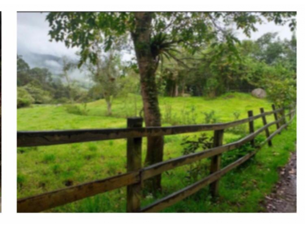 LOTE EN VENTA EN ALTOS DE POTOSI, GUASCA - 2