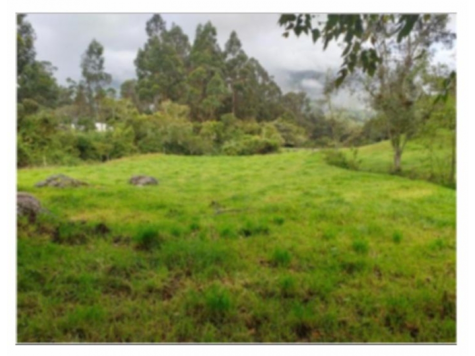 LOTE EN VENTA EN ALTOS DE POTOSI, GUASCA - 4