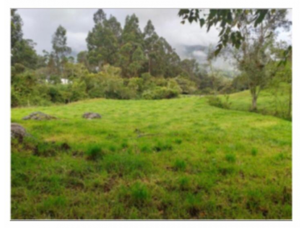 LOTE EN VENTA EN ALTOS DE POTOSI, GUASCA - 5