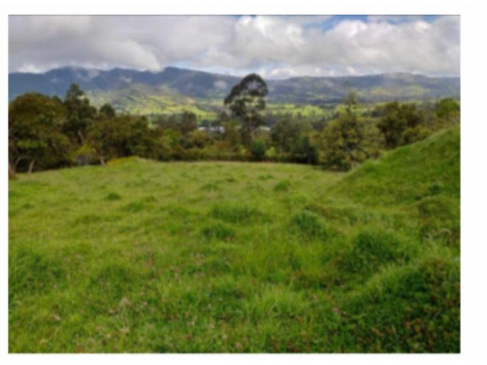 LOTE EN VENTA EN ALTOS DE POTOSI, GUASCA - 6