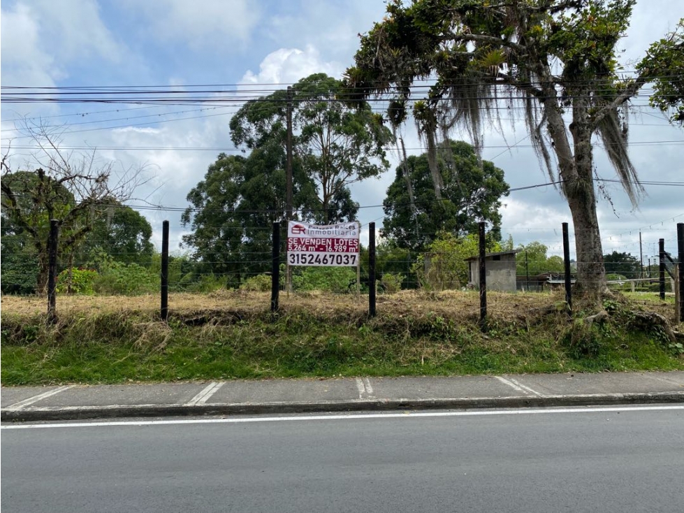 Se vende lote en Av. Centenario, Armenia