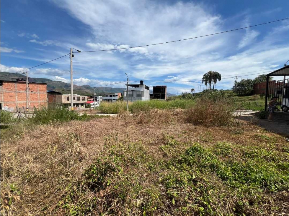 Se Vende Lote En Carmen de Apicala. - 2