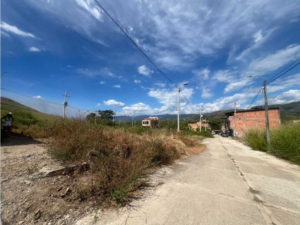 Se Vende Lote En Carmen de Apicala. - 3