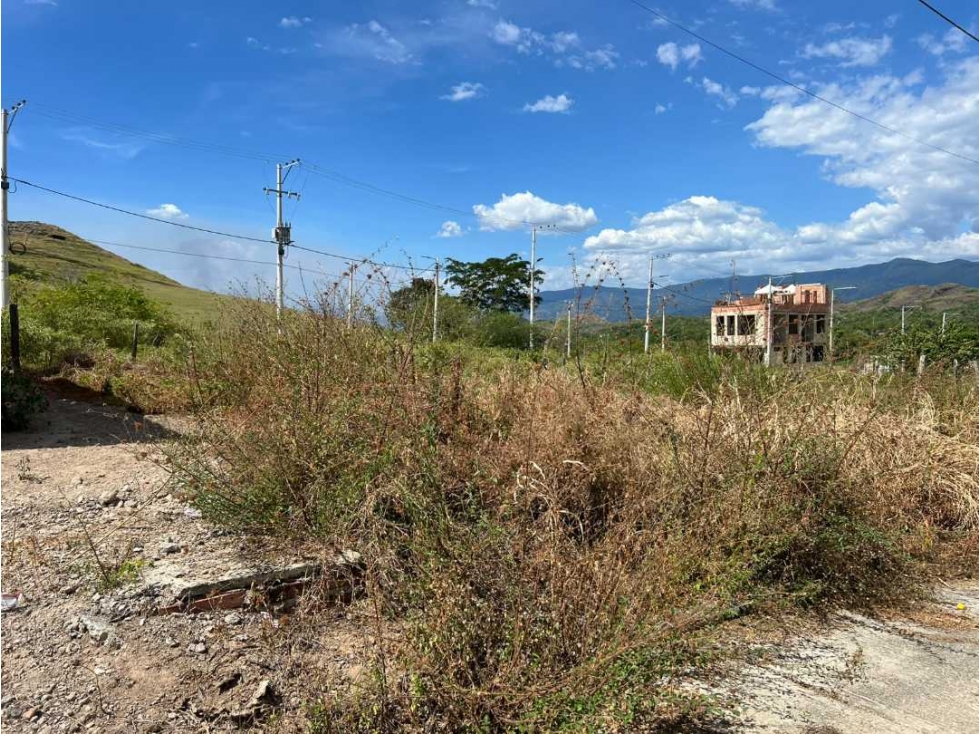 Se Vende Lote En Carmen de Apicala. - 4