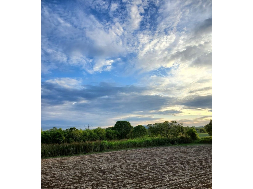 Se Vende Lote en Cerritos — foto 2