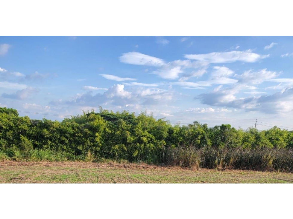 Se Vende Lote en Cerritos — foto 3