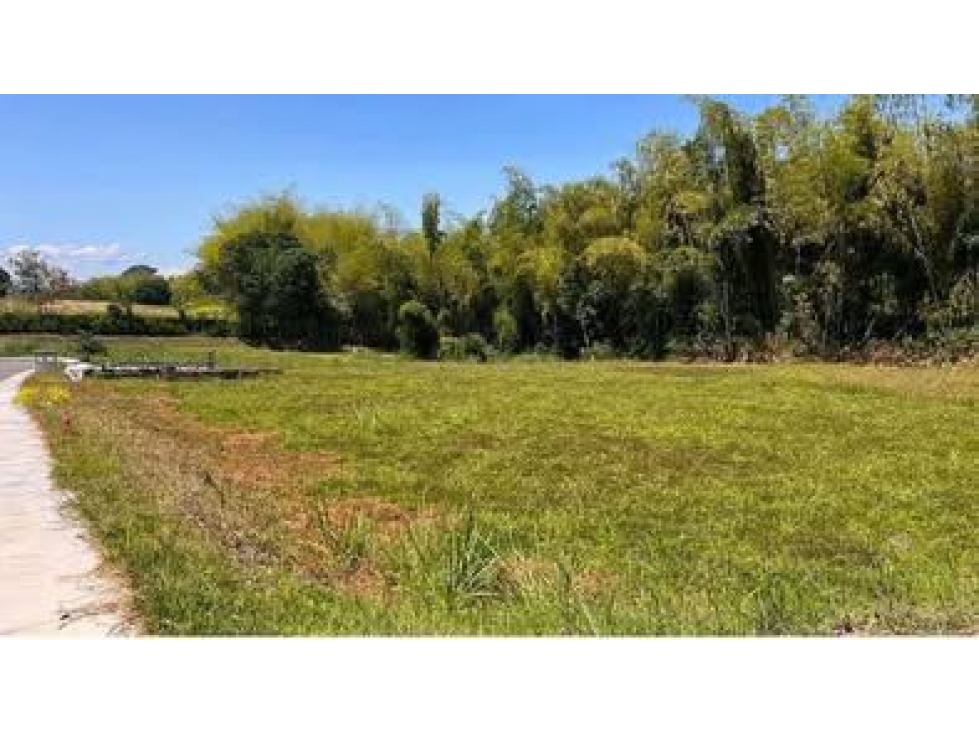 SE VENDE LOTE EN CERRITOS — foto 2