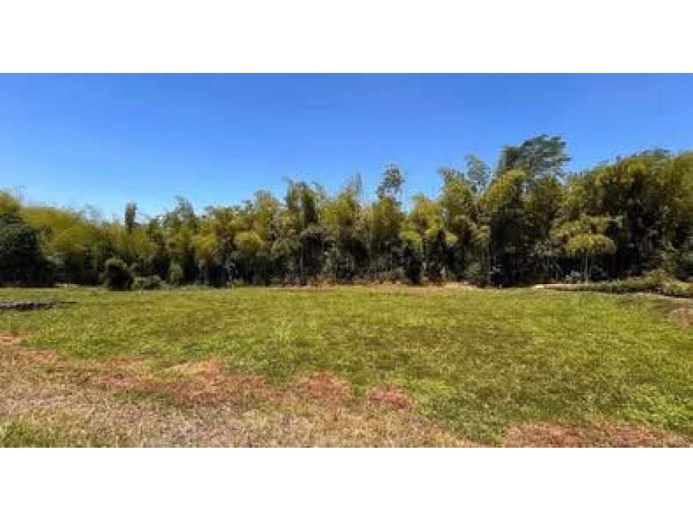 SE VENDE LOTE EN CERRITOS — foto 3