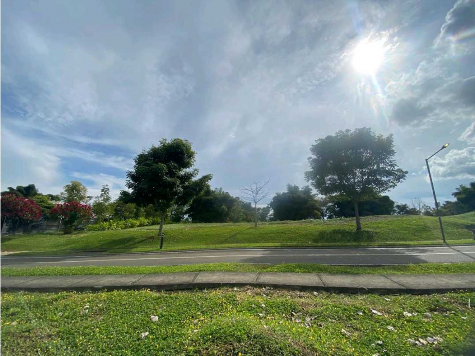 Se Vende Lote en Cerritos Pereira — foto 4