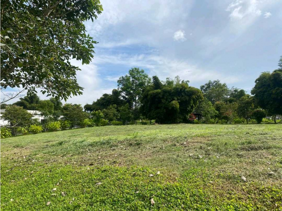 Se Vende Lote en Cerritos Pereira — foto 5