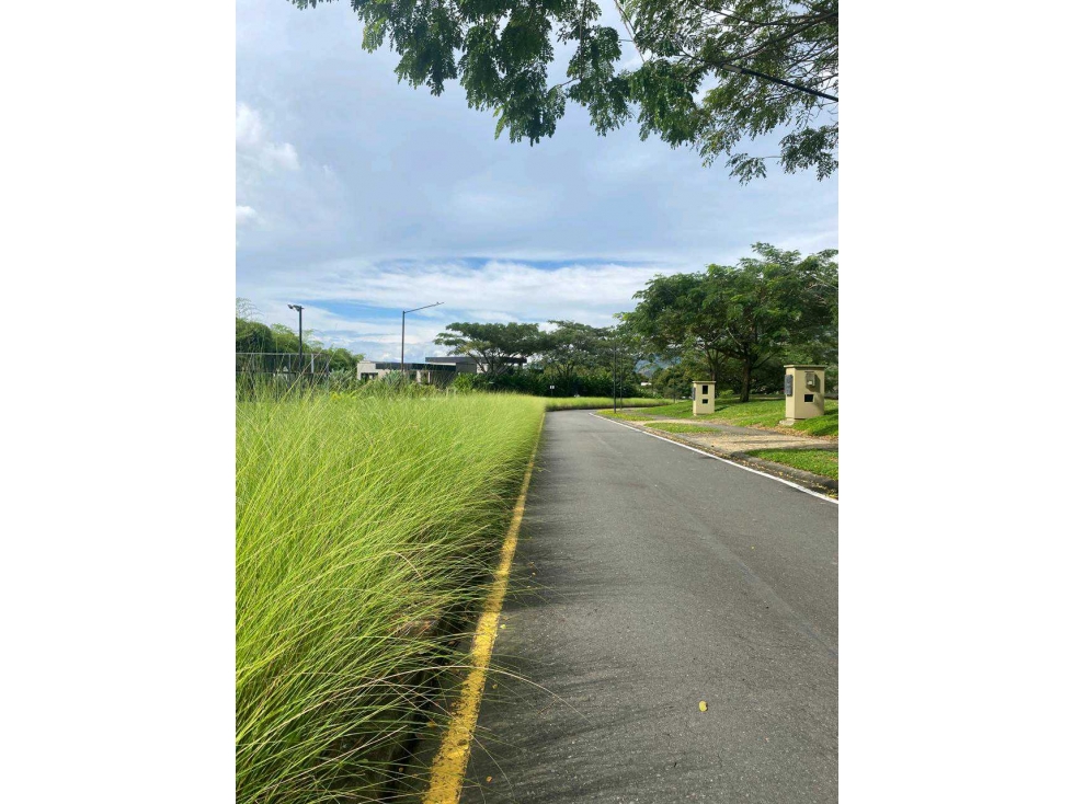 Se Vende Lote en Cerritos Pereira — foto 6