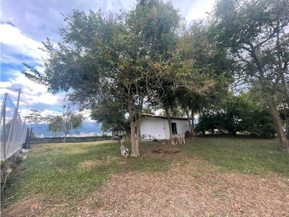 SE VENDE LOTE EN CIRCASIA EXCELENTE UBICACION — foto 2