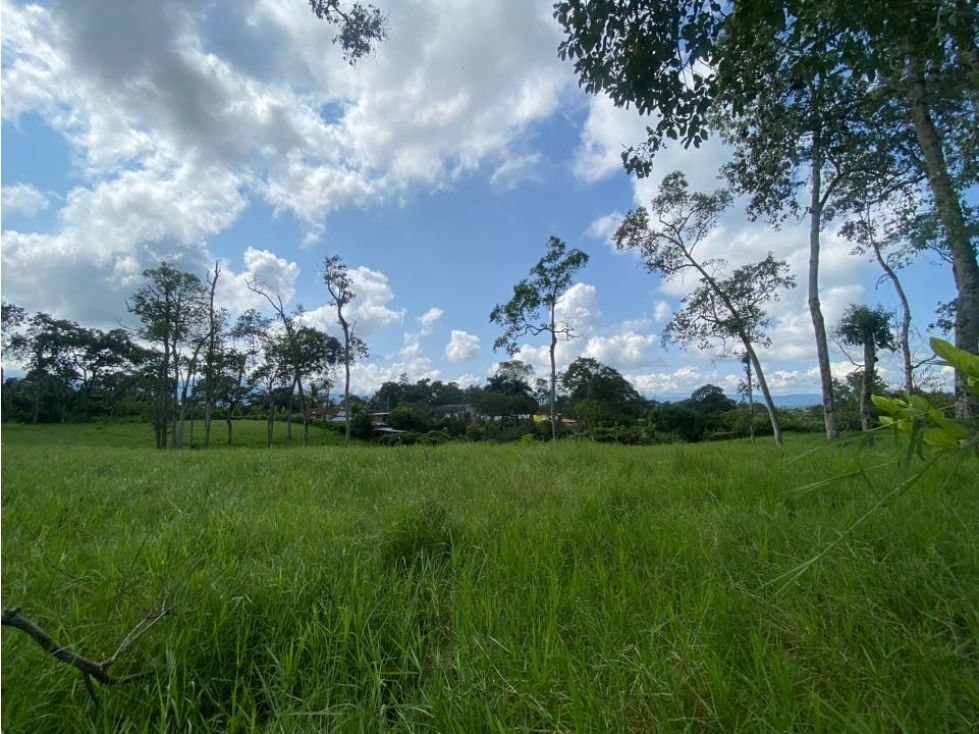 Se vende lote en el Caimo en parcelación, Armenia Quindío — foto 2