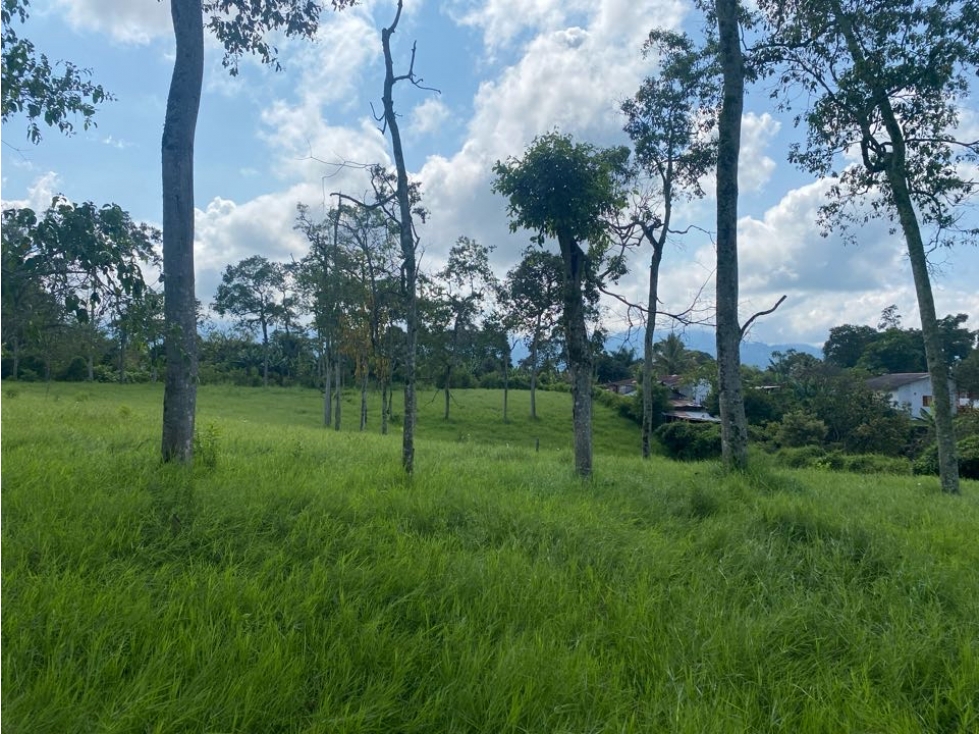 Se vende lote en el Caimo en parcelación, Armenia Quindío — foto 3