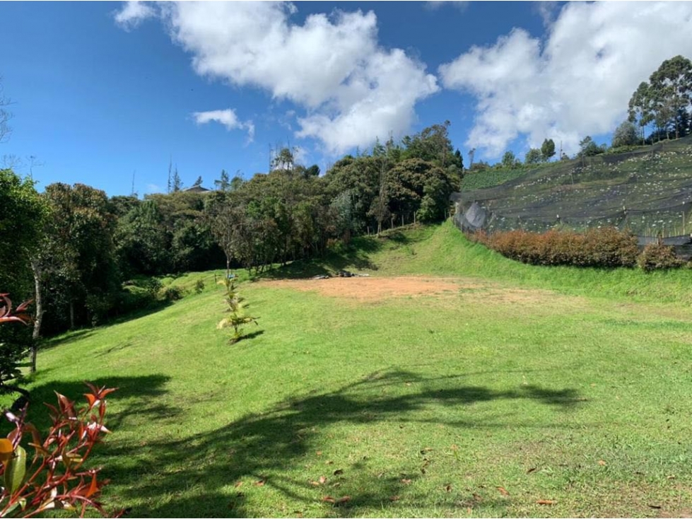SE VENDE LOTE EN EL CARMEN DE VIBORAL INDEPENDIENTE VEREDA SAMARIA — foto 2
