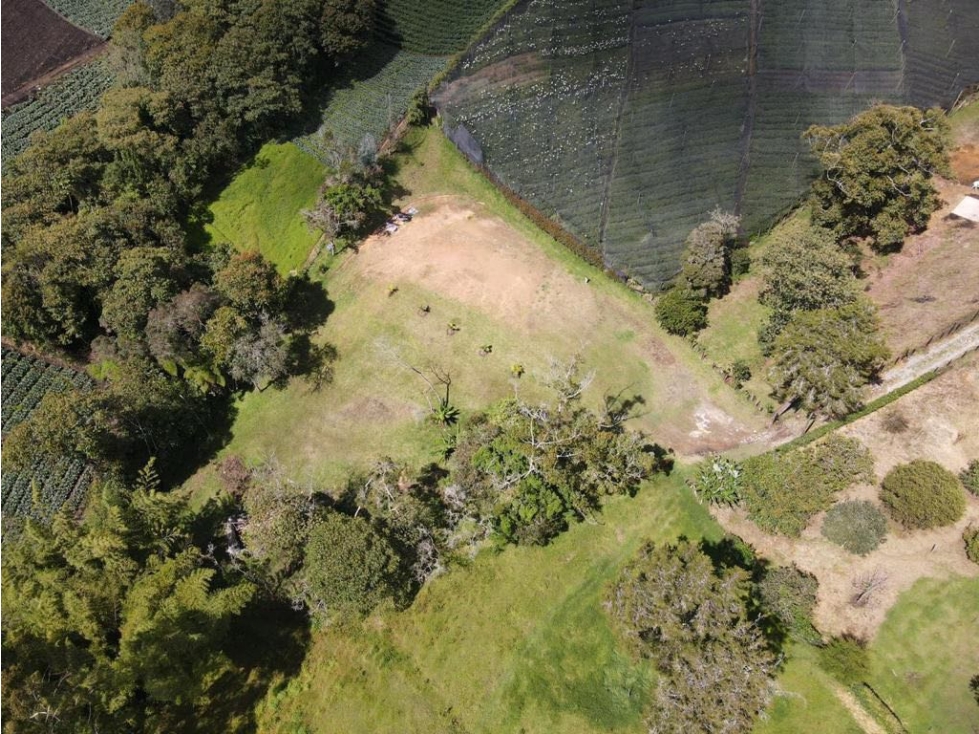 SE VENDE LOTE EN EL CARMEN DE VIBORAL INDEPENDIENTE VEREDA SAMARIA — foto 3