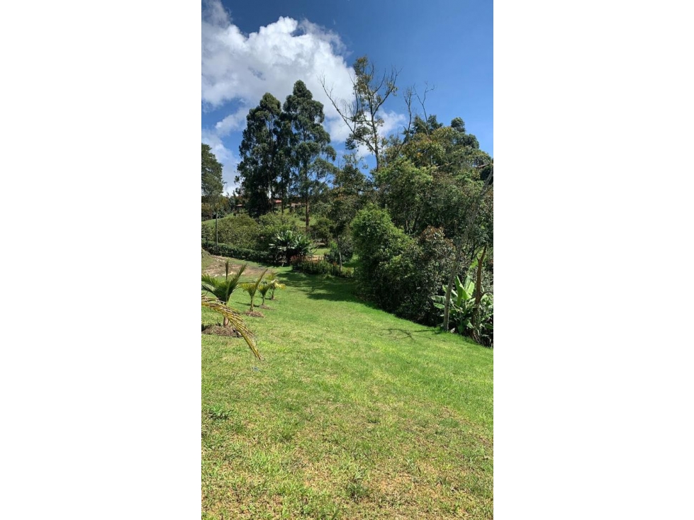 SE VENDE LOTE EN EL CARMEN DE VIBORAL INDEPENDIENTE VEREDA SAMARIA — foto 5