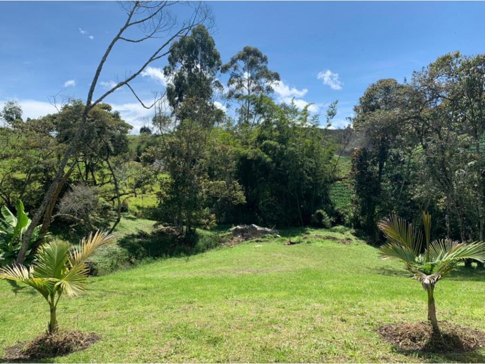 SE VENDE LOTE EN EL CARMEN DE VIBORAL INDEPENDIENTE VEREDA SAMARIA — foto 6