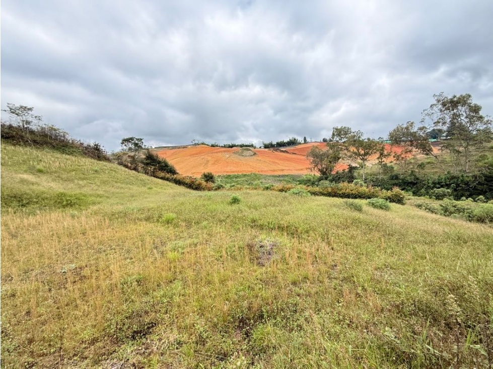 Se venden lotes de 2.700 m2 en parcelación en El Carmen de Viboral — foto 2